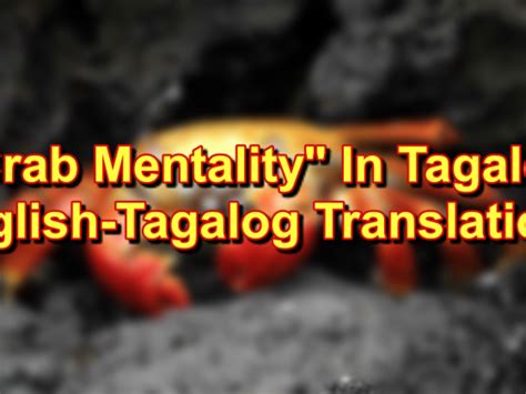 crap tagalog kahulugan|crap in English .